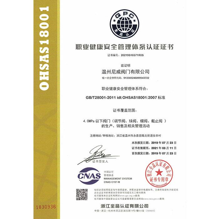 OHSAS18001:2007